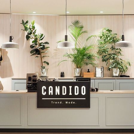 Bild enthält, Indoors, Interior Design, Plant, Potted Plant, Kitchen, Accessories, Bag, Handbag, Shop, Market