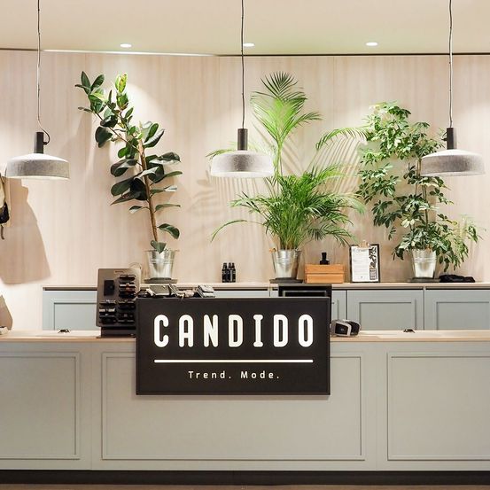 Bild enthält, Indoors, Interior Design, Plant, Potted Plant, Kitchen, Accessories, Bag, Handbag, Shop, Market