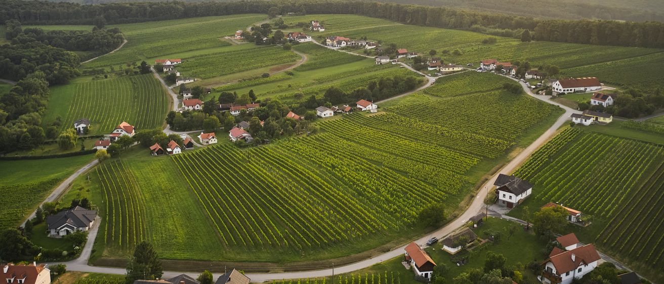 Luftaufnahme eines ländlichen Dorfes mit Weinbergen und Häusern, umgeben von grünen Feldern, unter einem klaren Himmel.