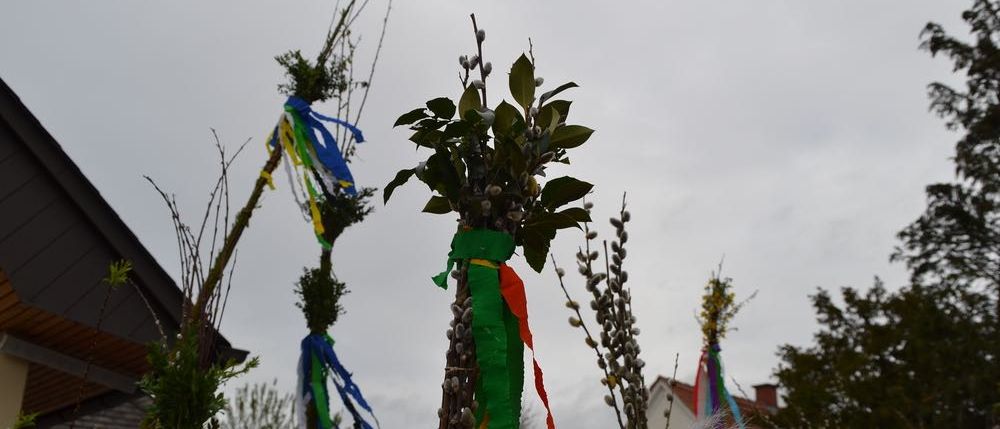 Bild enthält, Plant, Tree, Potted Plant, Outdoors, Shelter, Vegetation, Person, Horse, Flower, Flower Arrangement