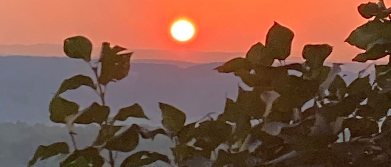 Ein Sonnenuntergang über einer bergigen Landschaft mit leuchtenden Orange- und Rosatönen, teilweise von Grün verdeckt.