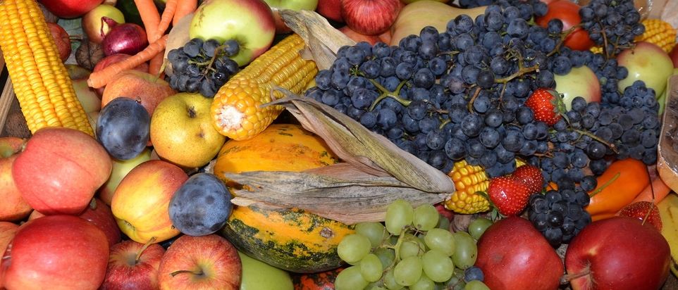 Ein hölzerner Kasten gefüllt mit verschiedenen Obst- und Gemüsesorten wie Äpfeln, Trauben, Mais, Karotten und Erdbeeren.