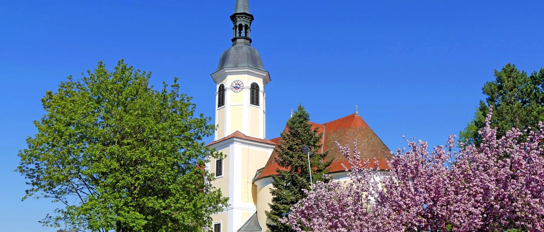 Eine Kirche mit einem Turm und einer Uhr steht unter einem klaren blauen Himmel, umgeben von Bäumen und blühenden Zweigen.