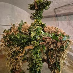 Bild enthält, Plant, Christmas, Christmas Decorations, Festival, Cilantro, Food, Christmas Tree