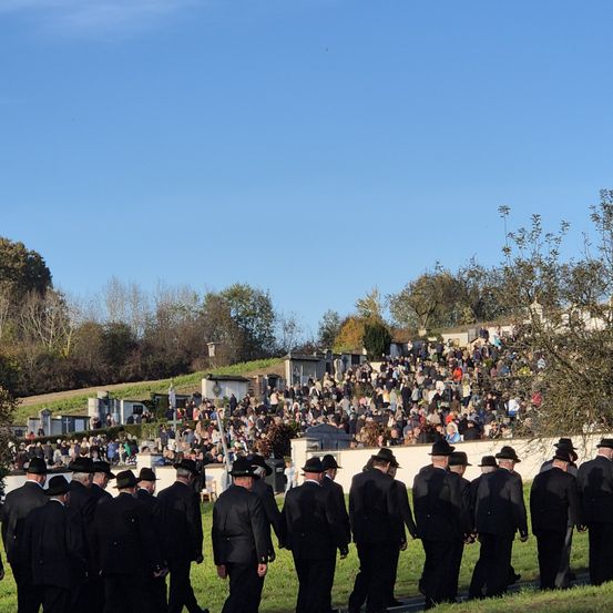 Bild enthält, People, Person, Grass, Plant, Adult, Male, Man, Crowd, Graduation, Coat
