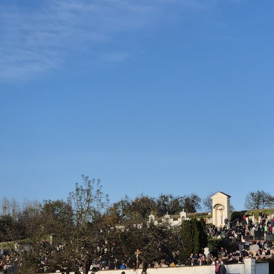 Bild enthält, Grass, Plant, People, Person, Lawn, Concert, Crowd, Outdoors, Formal Wear, Nature