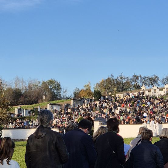 Bild enthält, Crowd, Person, People, Concert, Adult, Male, Man, Female, Woman, Audience