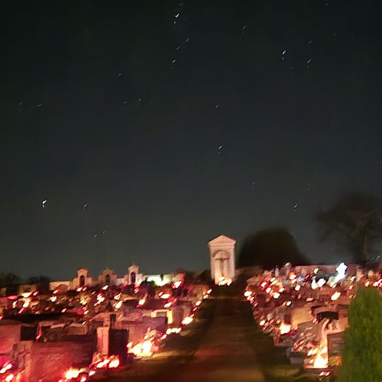 Bild enthält, Nature, Night, Outdoors, Animal, Bird, Graveyard, Urban