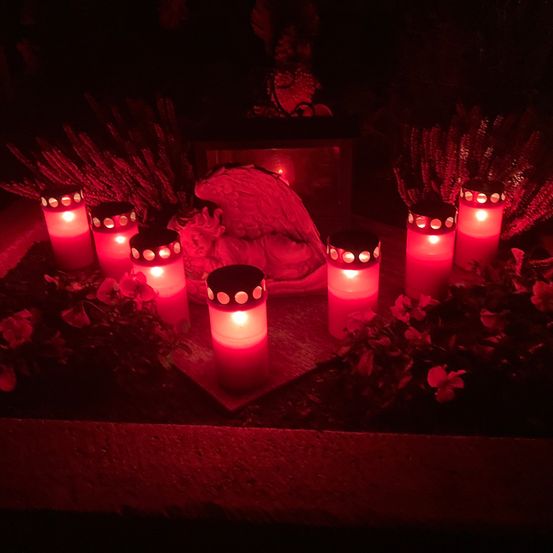 Bild enthält, Altar, Church, Prayer, Candle, Lighting, Animal, Bird, Flower, Flower Arrangement, Plant