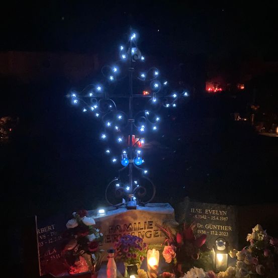 Bild enthält, Lighting, Nature, Night, Outdoors, Flower, Plant, Candle, Urban, Festival, Christmas Decorations