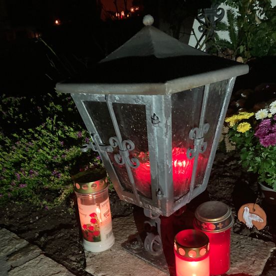 Bild enthält, Lamp, Path, Walkway, Lantern, Lighting, Plant, Potted Plant, Candle, Flower