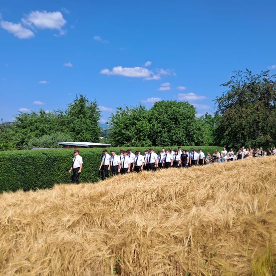 Eine Gruppe von Menschen in Uniformen geht an einem sonnigen Tag durch ein Hecken in einem Weizenfeld.