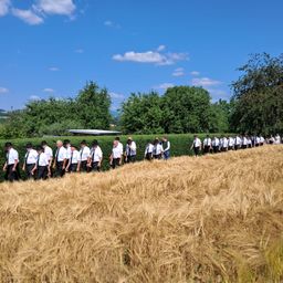 Eine Gruppe von Menschen in weißen Uniformen geht in einer Reihe durch ein Weizenfeld unter einem blauen Himmel mit einigen Wolken.