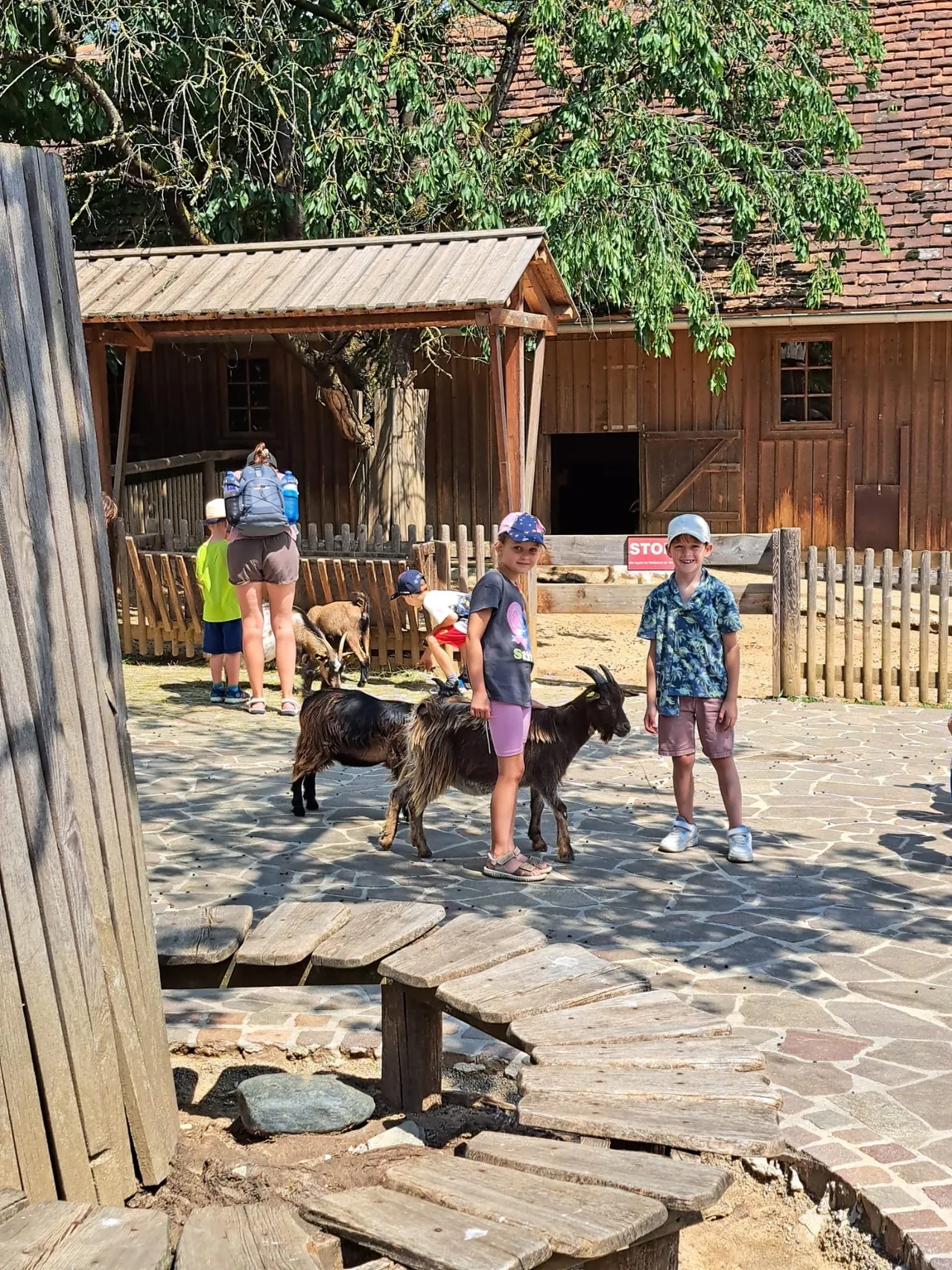 Eine Gruppe von Kindern in einem Zoo, die mit Ziegen interagieren, in der Nähe von Holzzäunen und einer Scheune.