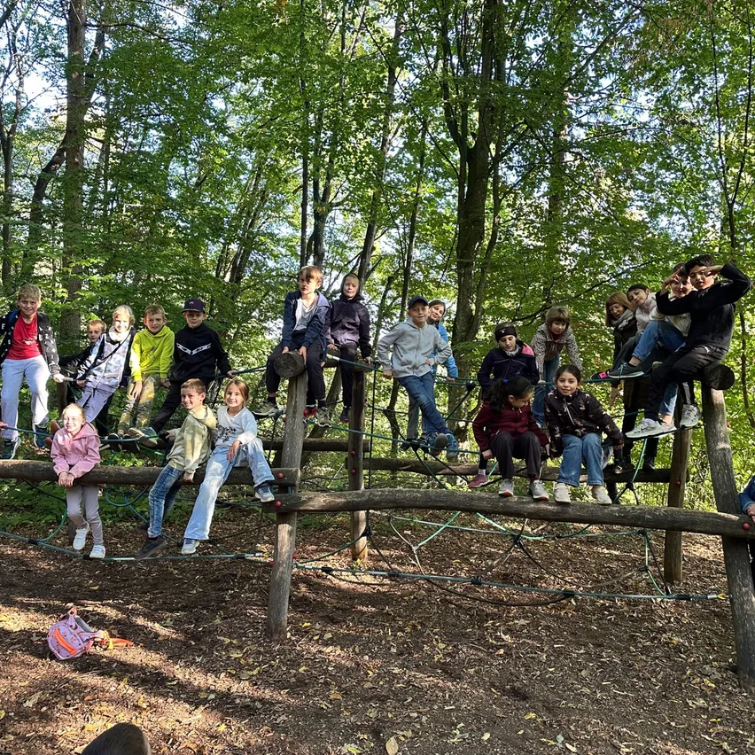 Eine Gruppe von Kindern und Erwachsenen spielt auf einem hölzernen Hindernisparcours im Wald.