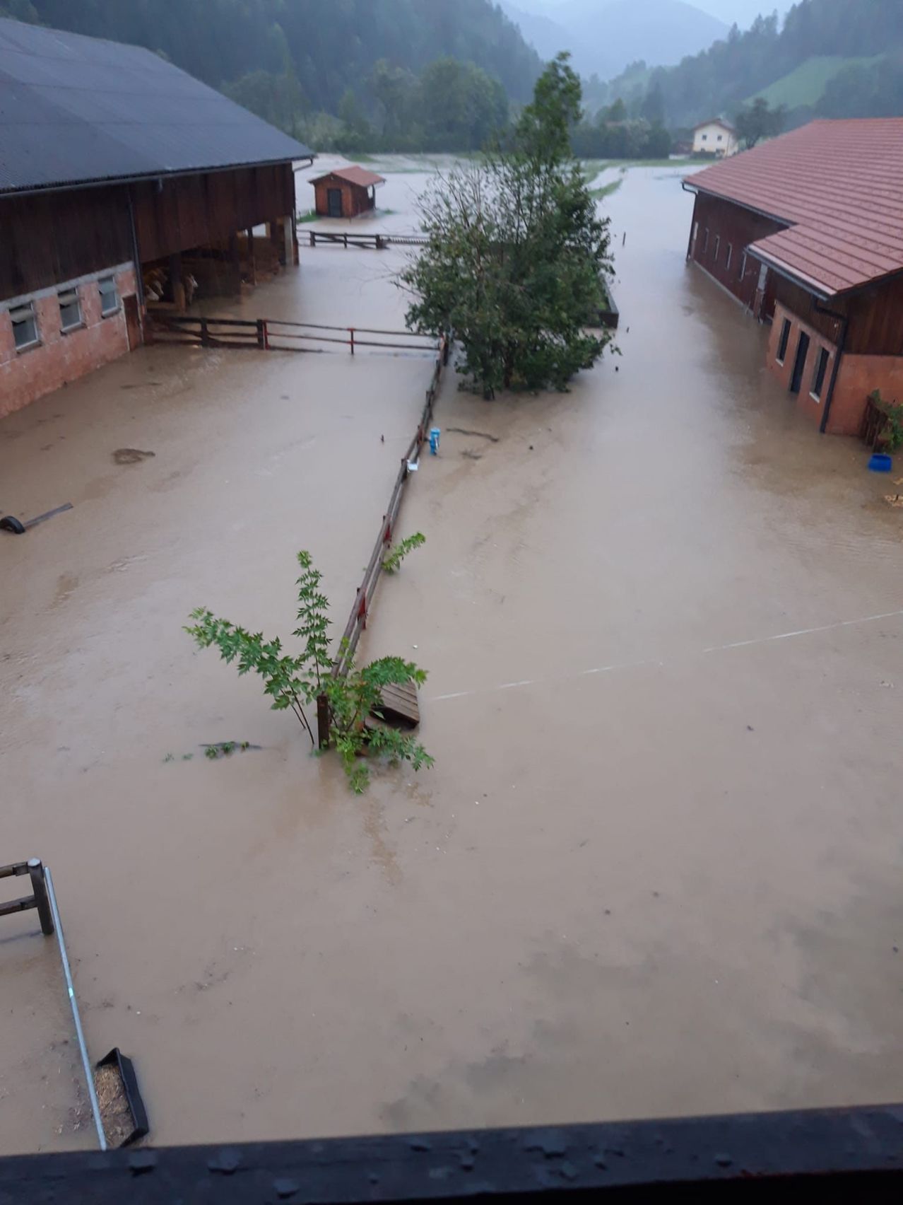 Bild enthält, Flood, Water, Person