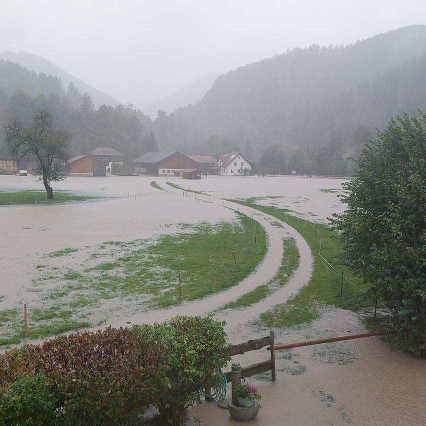 Bild enthält, Nature, Outdoors, Scenery, Plant, Vegetation, Water, Rain, Weather, Road, Tree