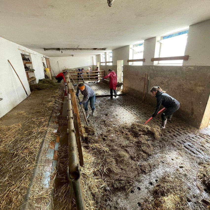 Bild enthält, Person, Clothing, Glove, Gun, Weapon, Home Renovation Work, Device, Shovel, Tool, Head