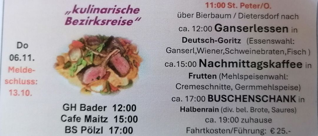 Ein Menü mit Zeiten für eine kulinarische Tour, einschließlich Gerichte wie Gans, Wiener Würstchen und Cremeschnitte, sowie einem Zeitplan für Halbregen (div. bei Maitz) und Fahrtkosten/Kraftstoffverbrauch.