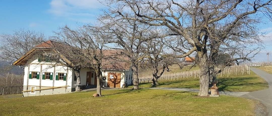 Ein weißes Haus mit grünen Fensterläden, umgeben von einem Rasen und Bäumen, unter einem klaren blauen Himmel.