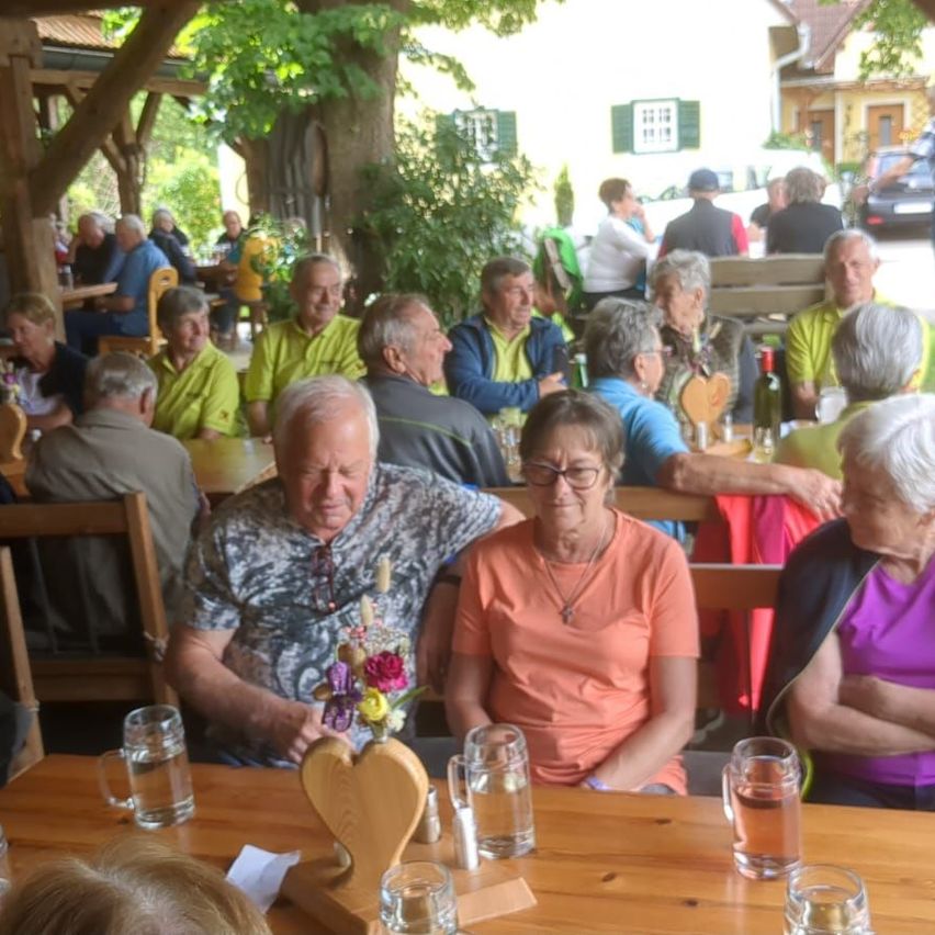 A group of elderly people are gathered around a table in an outdoor restaurant. They have glasses and a flower centerpiece on the table. Some of them are wearing glasses.