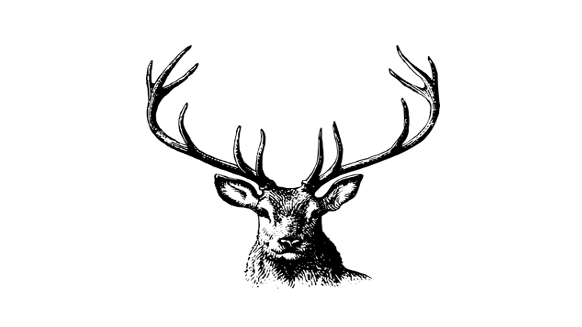 v1_migrated_image_91556187