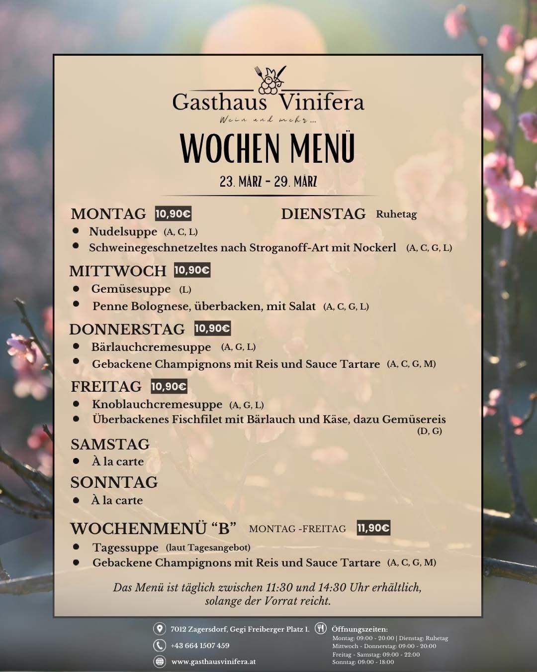 Wochenmenü vom 23. bis 29. März im Gasthaus Vinifera. Gerichte wie Nudelsuppe, Schweinegeschnetzeltes und Gemüsesuppe. Täglich von 11:30 bis 14:30 Uhr erhältlich.