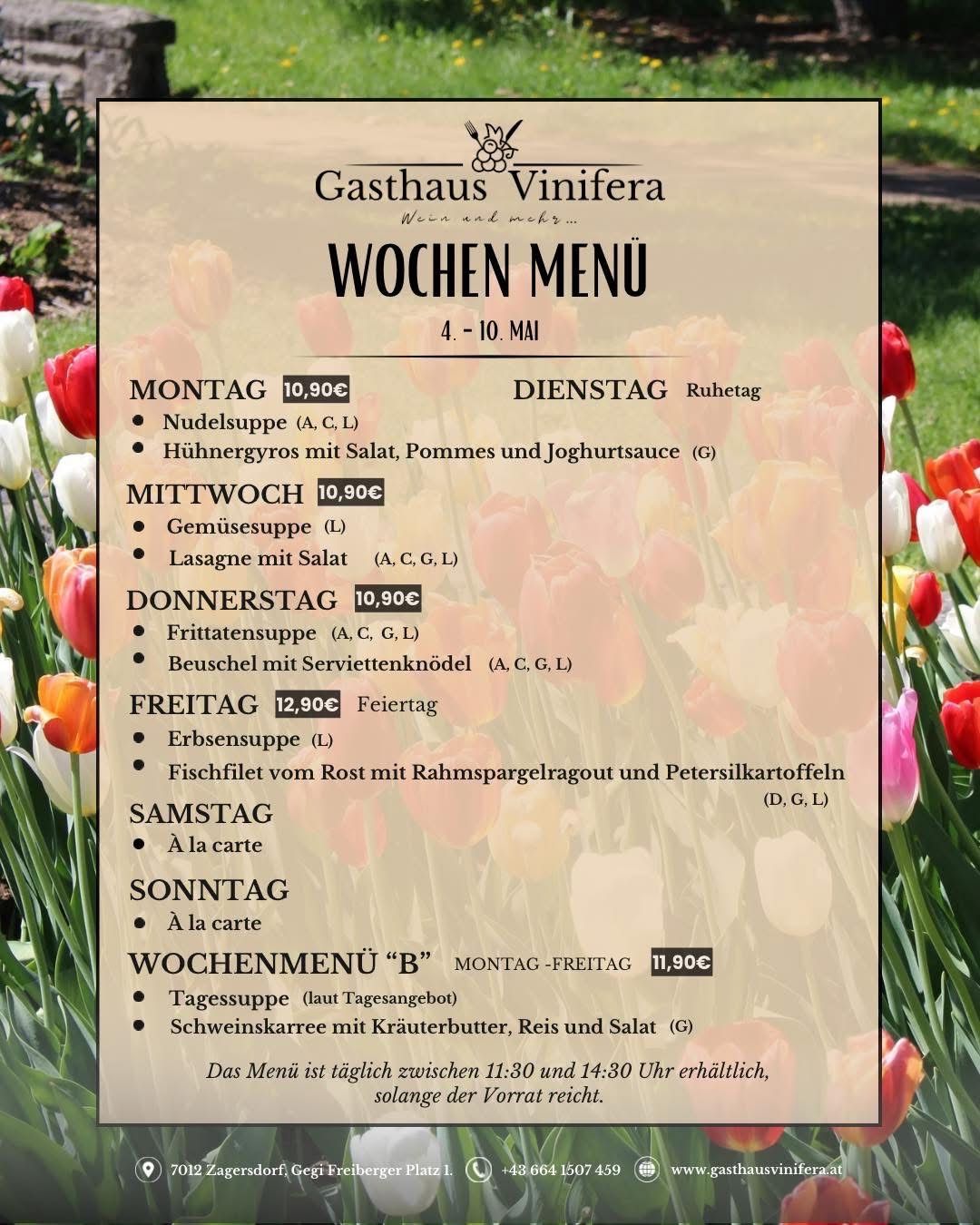 Wöchenliches Menü für Gasthaus Vinifera vom 4. April bis 10. Mai. Beinhaltet verschiedene Suppen, Salate und Hauptgerichte. Täglich von 11:30 bis 14:30 Uhr erhältlich.