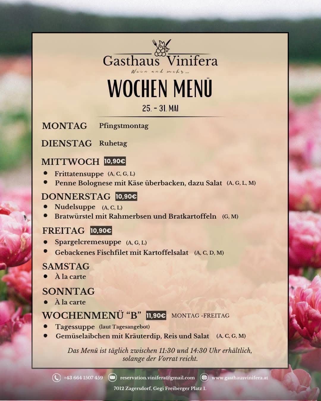 Wöchenliche Speisekarte für Gasthaus Vinifera vom 25. bis 31. Mai. Tägliche Menüoptionen mit Preisen und Zutaten. Mahlzeiten sind zwischen 11:30 und 14:30 Uhr erhältlich.