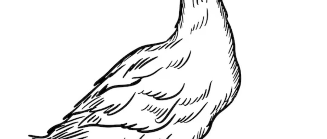 Eine schwarz-weiße Zeichnung einer Ente, die auf zwei Beinen steht, nach rechts schaut, mit einem langen Hals und Schnabel.