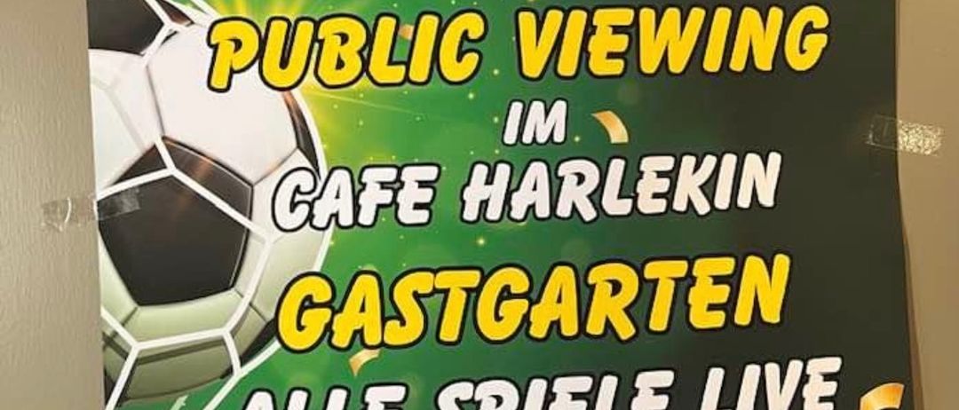 Bild enthält, Advertisement, Poster, Ball, Football, Soccer, Soccer Ball, Sport, Book, Publication