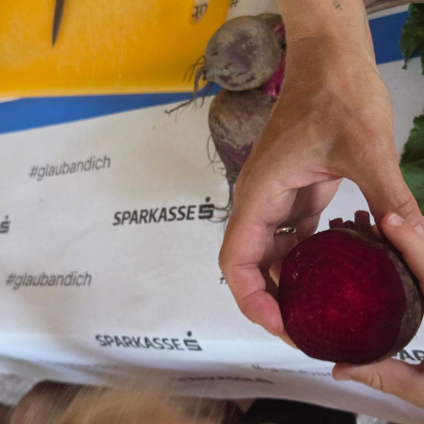 A hand holding a sliced beetroot with a yellow and blue background, and the word 'Sparkasse' written on it.