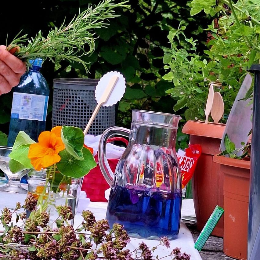 A table with a blue liquid in a glass pitcher, a bouquet of flowers, and a rosemary plant. A bottle, a trash bin, and potted plants are in the background.