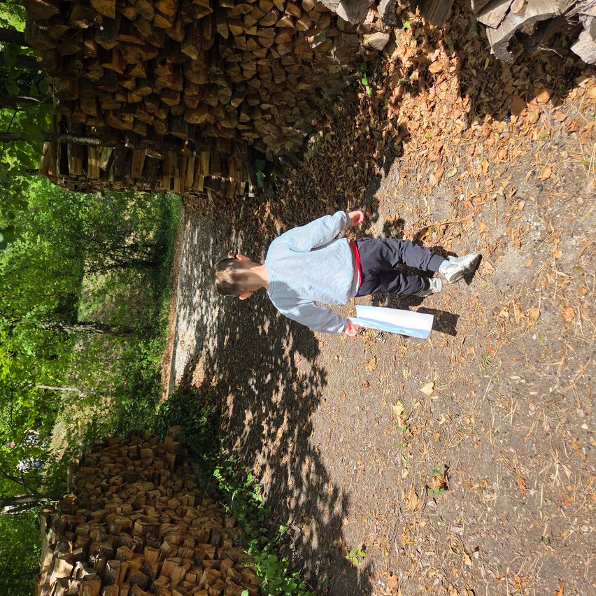 Ein junger Junge läuft auf einem Pfad im Wald und hält ein Stück Papier in der Hand. Hinter ihm sind Holzstapel auf dem Boden gestapelt.