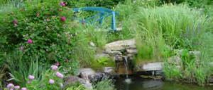 Ein ruhiger Gartenteich mit einem kleinen Wasserfall und einer blauen Brücke, umgeben von üppigem Grün, rosa und lila Blumen und einem Steinweg.