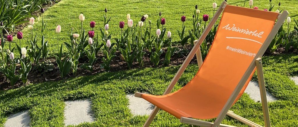 Ein Garten mit grünem Rasen und einer Reihe roter und weißer Tulpen. Ein orangefarbener Liegestuhl mit #meinWeinviertel steht auf dem Rasen. Im Hintergrund befindet sich ein Holzzaun mit einem Teich.