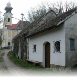 Ein altes Haus mit einem braunen Dach und Efeu an der Wand steht neben einer Straße. Ein Auto ist hinten geparkt. Bäume und ein Kirchturm sind sichtbar.