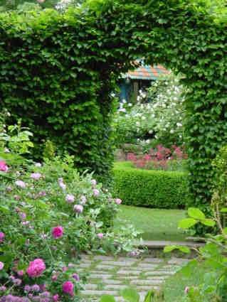 Eine Gartenszene mit einem Steinweg, der durch einen grünen Efeubogen führt, umgeben von verschiedenen Blumen und Sträuchern, mit einem Haus im Hintergrund sichtbar.