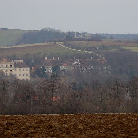 Eine ländliche Landschaft mit einem großen Herrenhaus, das von Bäumen und Hügeln umgeben ist. Das Herrenhaus befindet sich auf einem sanften Hang mit einer Straße, die hinaufführt. Die Umgebung umfasst Felder und weitere Grünflächen.