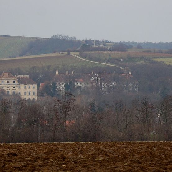 Eine ländliche Landschaft mit einem großen Herrenhaus, das von Bäumen und Hügeln umgeben ist. Das Herrenhaus befindet sich auf einem sanften Hang mit einer Straße, die hinaufführt. Die Umgebung umfasst Felder und weitere Grünflächen.