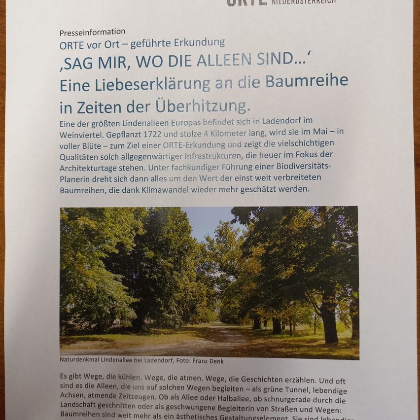 Presseinformation. ‚Sag mir, wer sie sind...‘ Eine Liebeserklärung an die Baumreihe in Zeiten der Überhitzung. Eine der größten Lindenalleen Europas befindet sich in Ladendorf im Weinviertel, gepflanzt 1722 und 4 Kilometer lang, steht sie im Mai in voller Blüte. Ein Bild der Lindenallee bei Ladendorf.