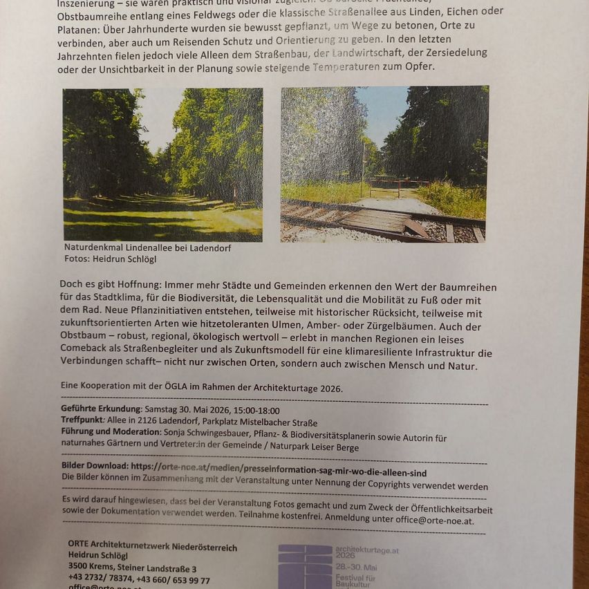 Dokument zeigt Informationen über die Lindenallee in Ladendorf, Österreich. Es bespricht die Geschichte der Straßenbäume, ihre Rollen und die Herausforderungen, denen sie gegenüberstehen. Es erwähnt eine geführte Wanderung am 30. Mai 2026, geleitet von Sonja Schwingsbauer. Fotos können mit Copyright-Hinweis heruntergeladen werden.