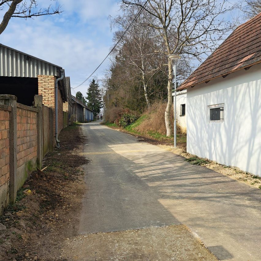 Eine leere Landstraße, gesäumt von einer Ziegelmauer und einem weißen Haus mit einem braunen Dach. Die Straße ist von Bäumen und Sträuchern umgeben, und rechts steht eine Straßenlaterne.