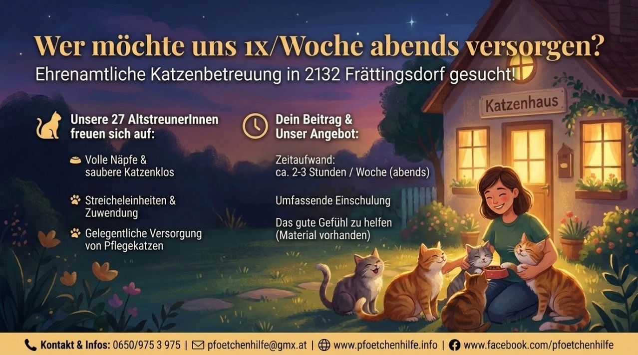 Werbeanzeige für Katzenbetreuungsdienste in Frattingsdorf mit einer lächelnden Frau und Katzen, die Abendbetreuung, Training und Zubehör hervorhebt.