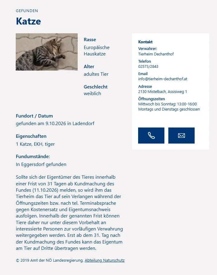 Eine Katze liegt auf einer Steinmauer.