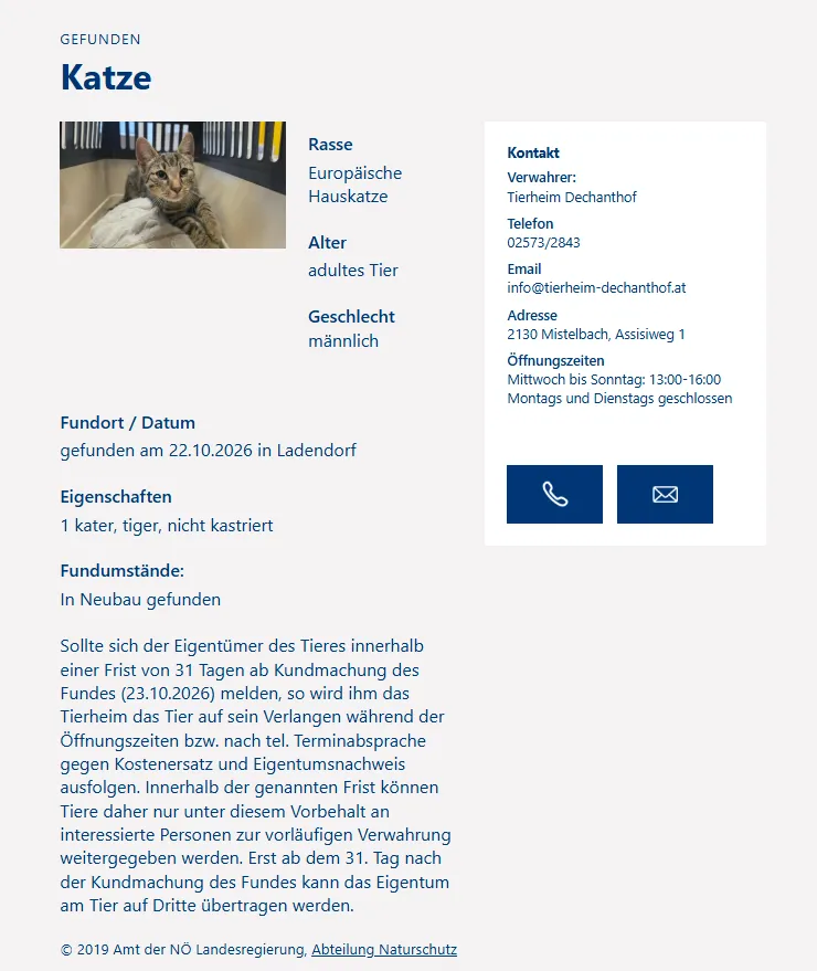 Eine gefundene Katze, ein männlicher Europäischer Kurzhaar, nicht kastriert, gefunden am 22.10.2026 in Ladendorf.