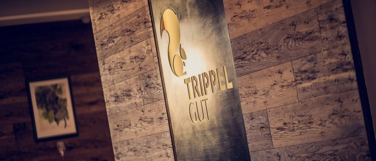 v1_migrated_image_98102122