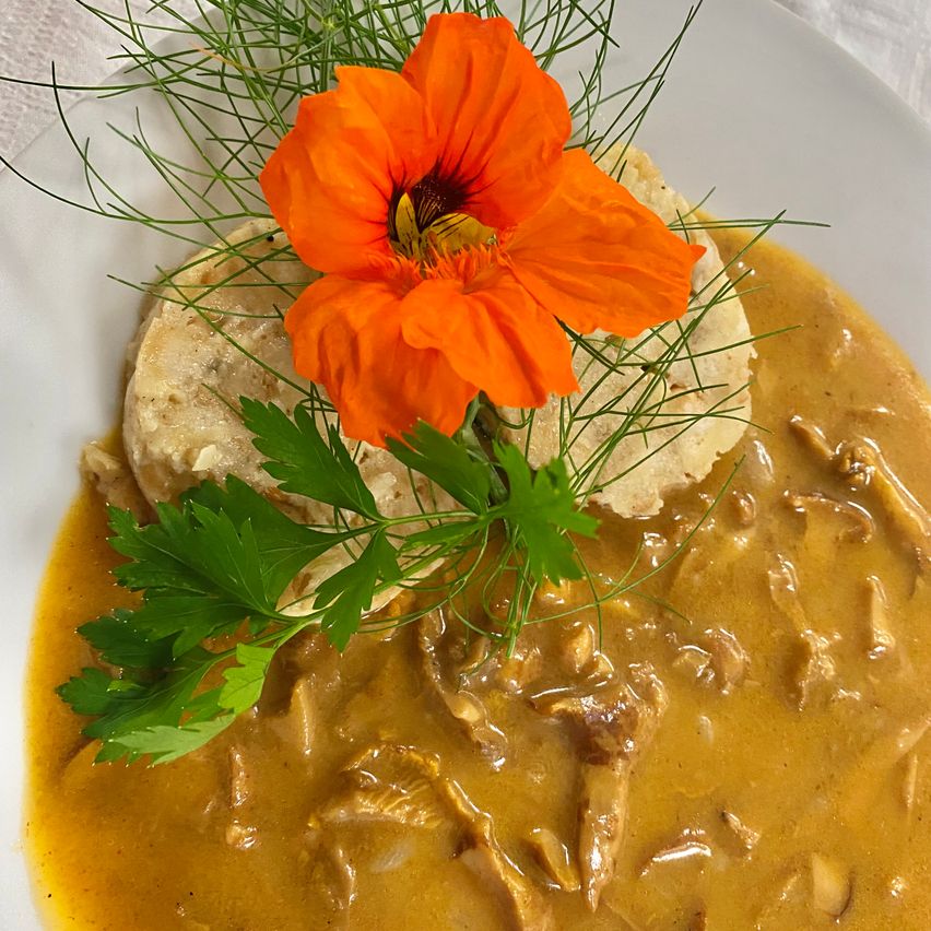 A plate of creamy chicken stew with a slice of bread and an orange flower on top, garnished with parsley.