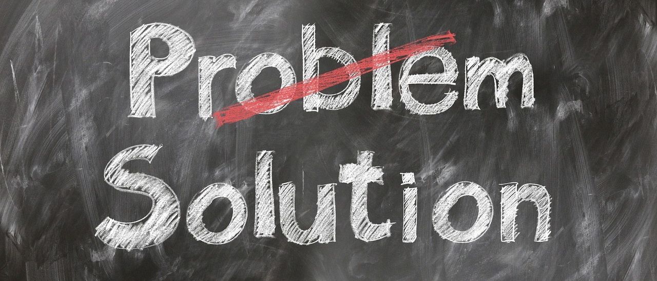 Bild enthält, Blackboard, Animal, Reptile, Snake