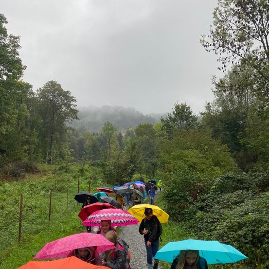 Eine Gruppe von Menschen geht auf einem Kiesweg im Wald, bunte Regenschirme haltend. Der Weg ist von Bäumen und Grün umgeben, mit einem nebligen Hintergrund.
